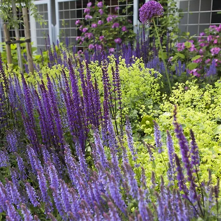 Arkipelag 4* Mariehamn