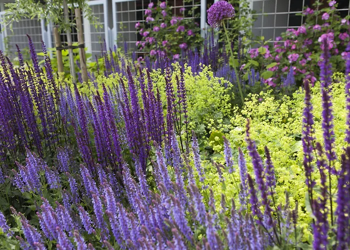 Arkipelag 4* Mariehamn